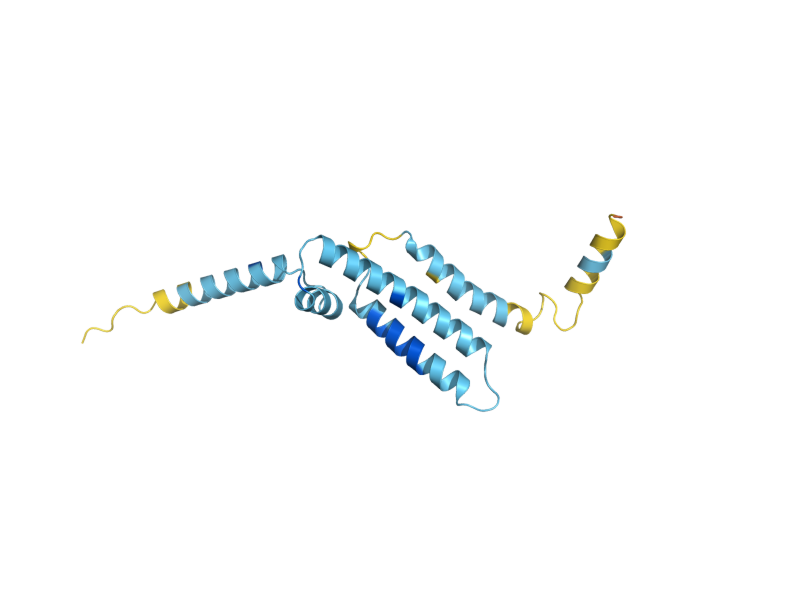 AlphaFold predicted structure of MPC3