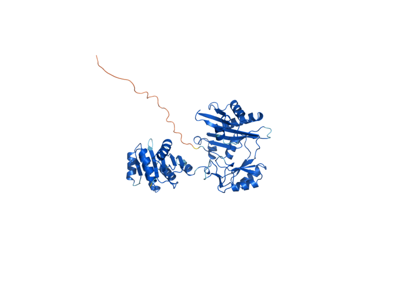 AlphaFold predicted structure of LSC2