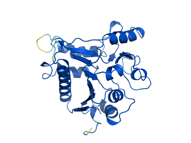 AlphaFold predicted structure of SOL4