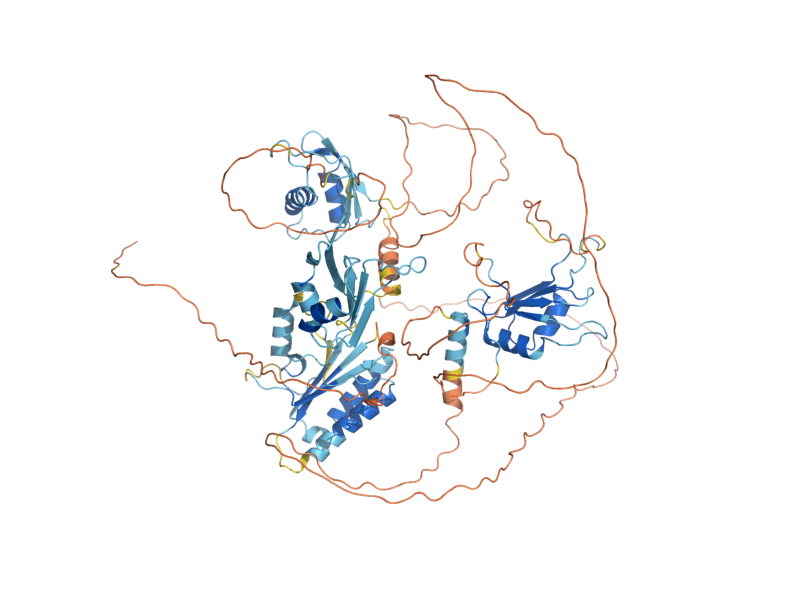 AlphaFold predicted structure of RIE1