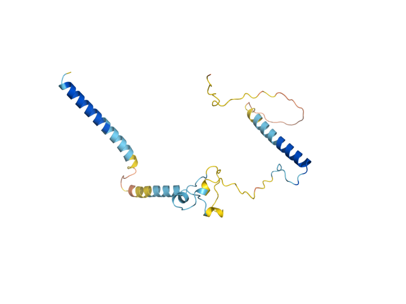 AlphaFold predicted structure of NOP19