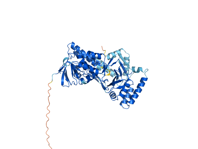 AlphaFold predicted structure of COQ6