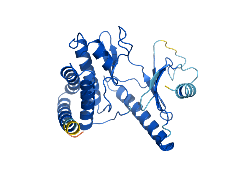 AlphaFold predicted structure of BUD32
