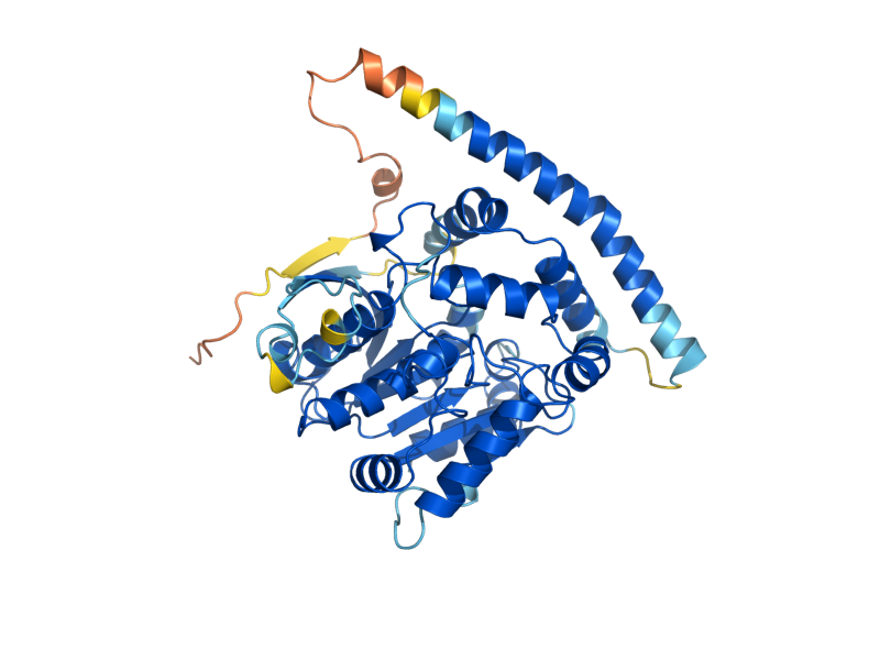 AlphaFold predicted structure of SAY1