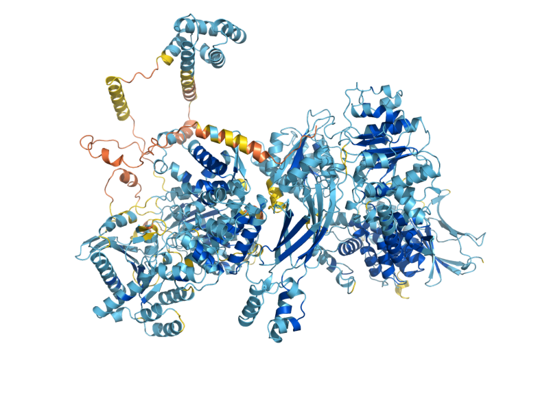 AlphaFold predicted structure of SLH1