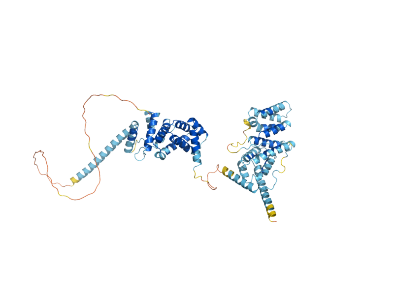 AlphaFold predicted structure of CWC22