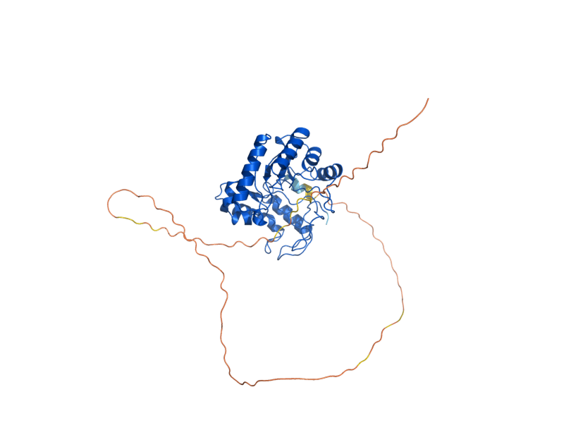 AlphaFold predicted structure of SCW4