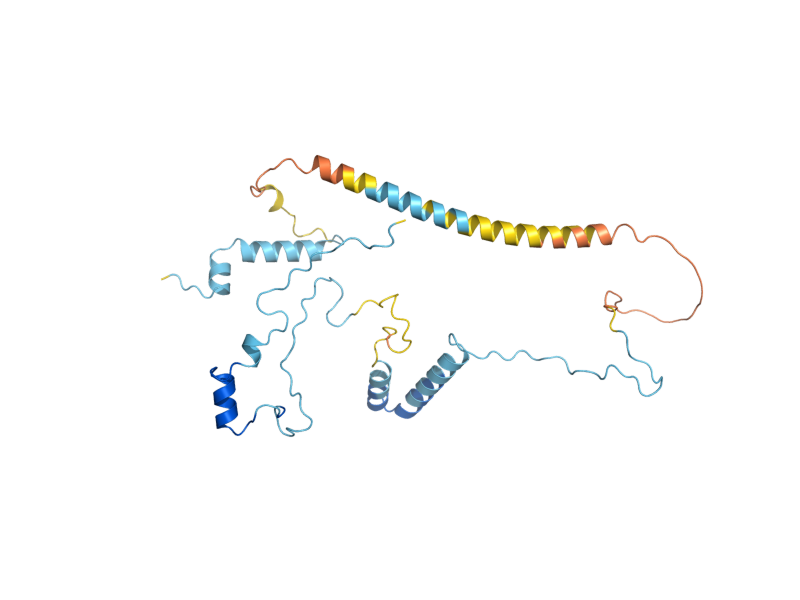 AlphaFold predicted structure of PXR1