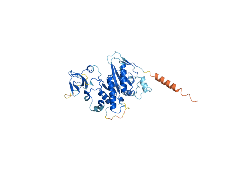 AlphaFold predicted structure of UPA1
