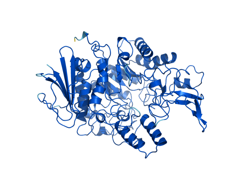 AlphaFold predicted structure of MAL12