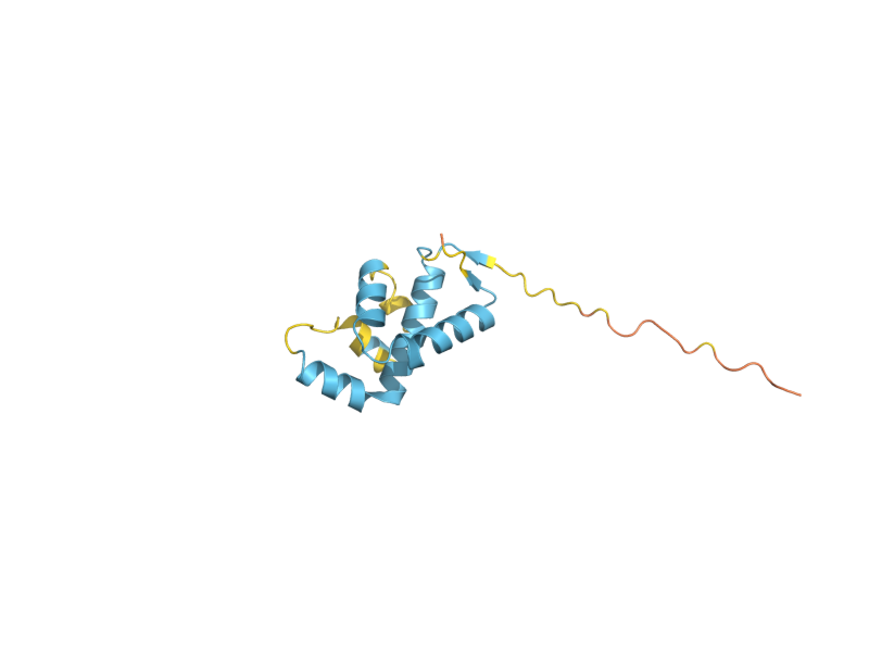 AlphaFold predicted structure of PAU12