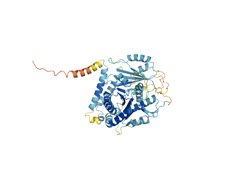 AlphaFold predicted structure of TUB4