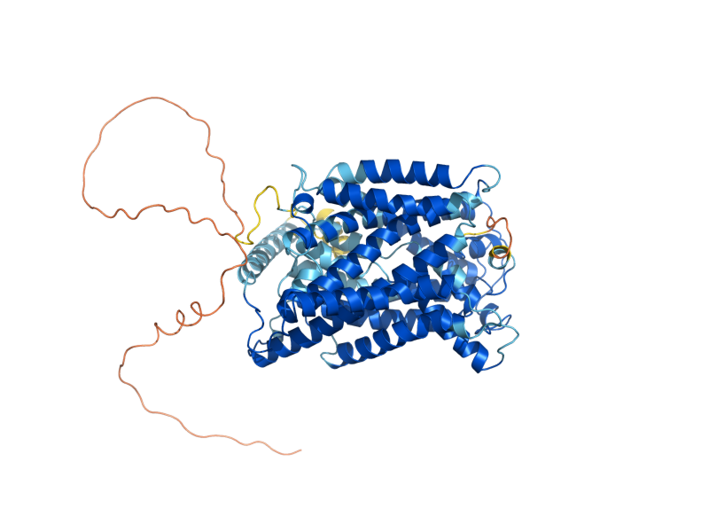 AlphaFold predicted structure of DIP5