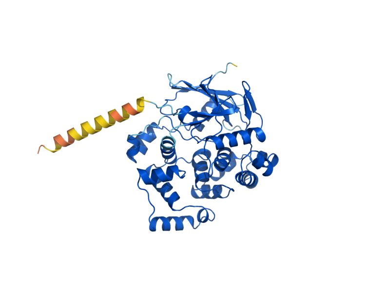 AlphaFold predicted structure of OGG1