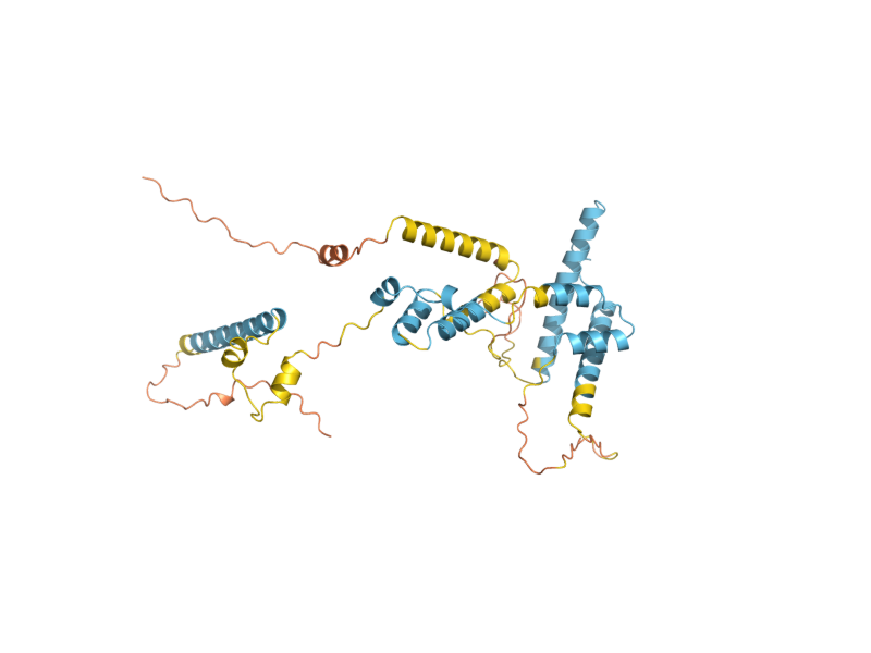 AlphaFold predicted structure of RRN9