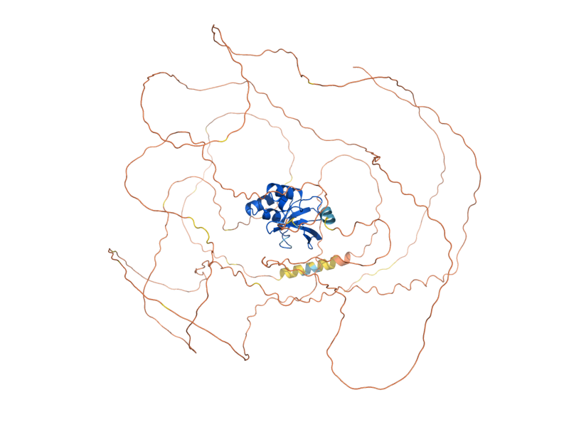 AlphaFold predicted structure of SOK2
