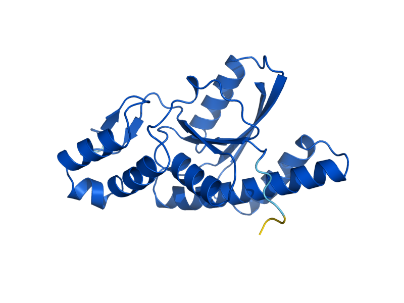 AlphaFold predicted structure of SSU72