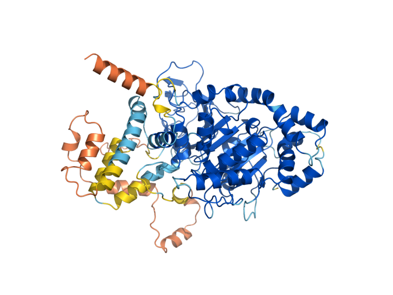 AlphaFold predicted structure of SPO1