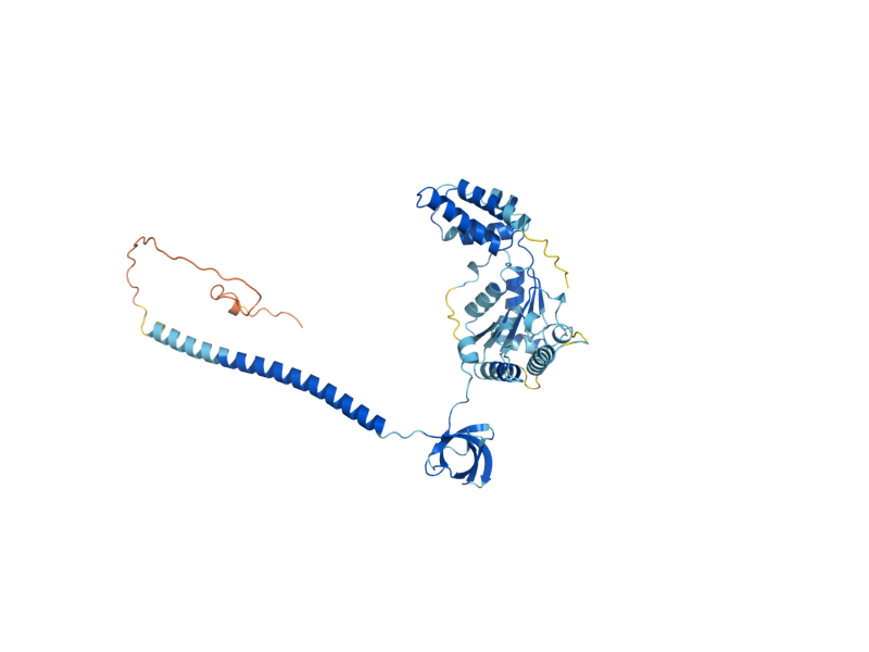 AlphaFold predicted structure of RPT4