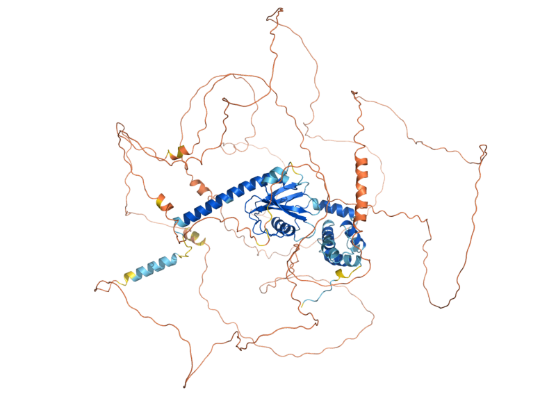 AlphaFold predicted structure of DCP2