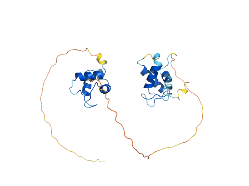 AlphaFold predicted structure of HHO1