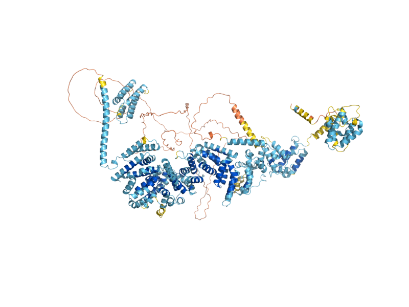 AlphaFold predicted structure of THO2