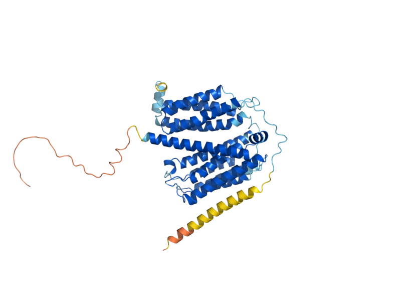 AlphaFold predicted structure of YTP1