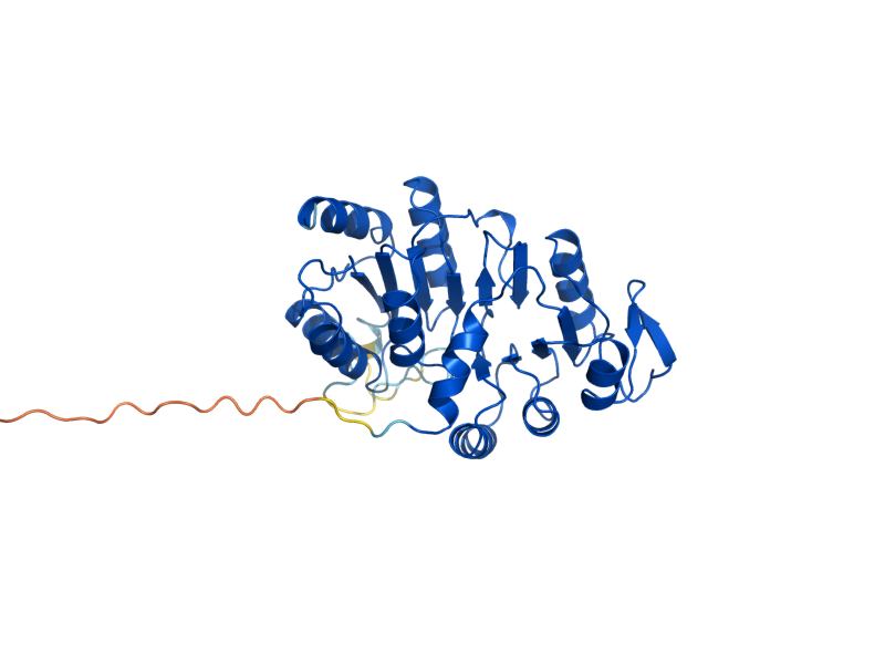 AlphaFold predicted structure of LSC1