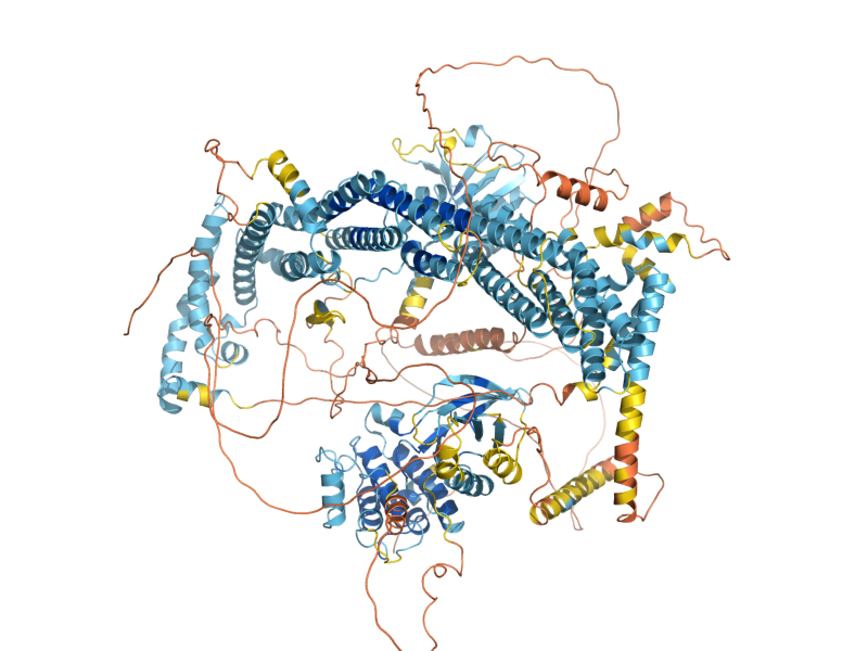 AlphaFold predicted structure of SSK2