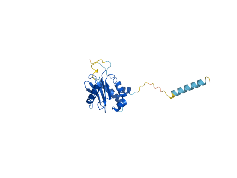 AlphaFold predicted structure of RET3