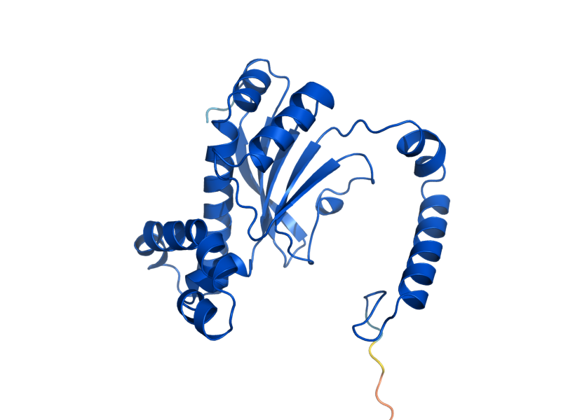 AlphaFold predicted structure of NCE103