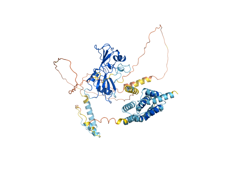 AlphaFold predicted structure of NRD1