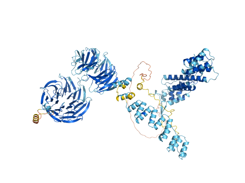 AlphaFold predicted structure of COP1
