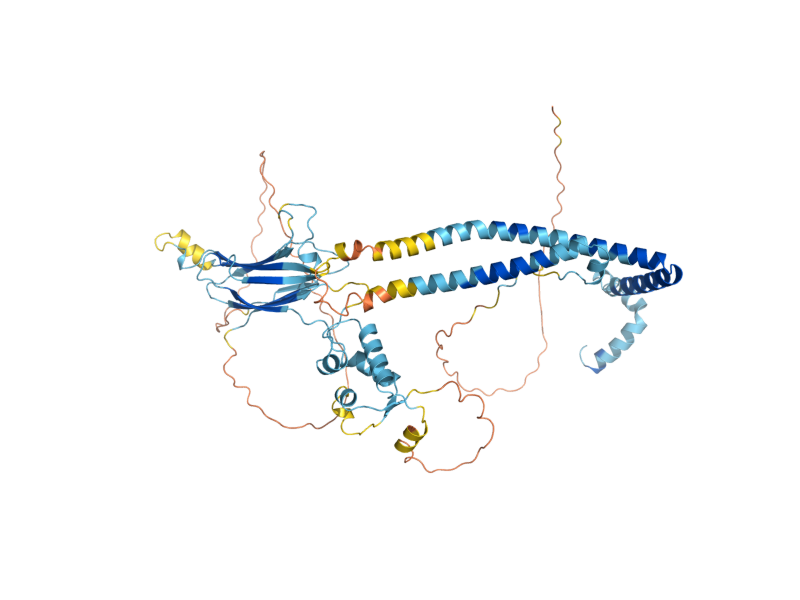 AlphaFold predicted structure of SNF12