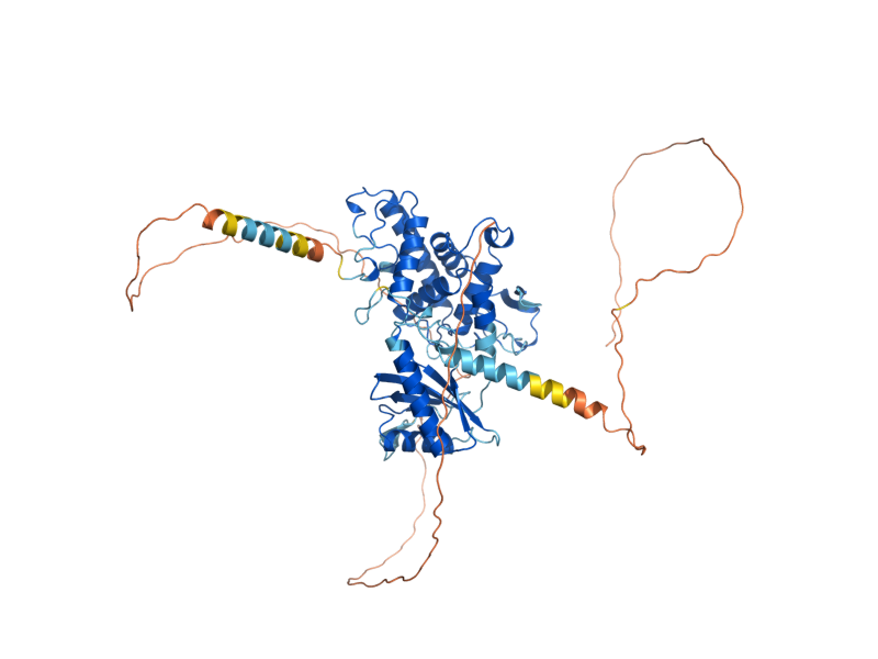 AlphaFold predicted structure of PAP2