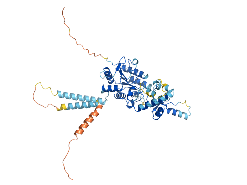 AlphaFold predicted structure of HST3