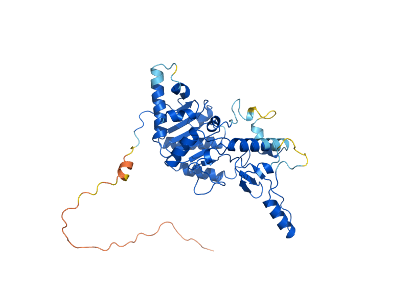 AlphaFold predicted structure of HST4