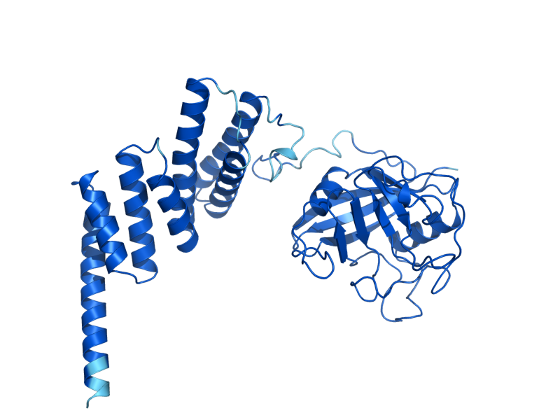 AlphaFold predicted structure of CPR6