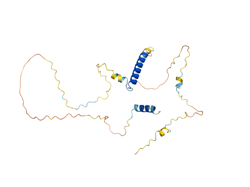 AlphaFold predicted structure of NRM1
