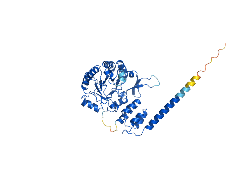 AlphaFold predicted structure of SMM1