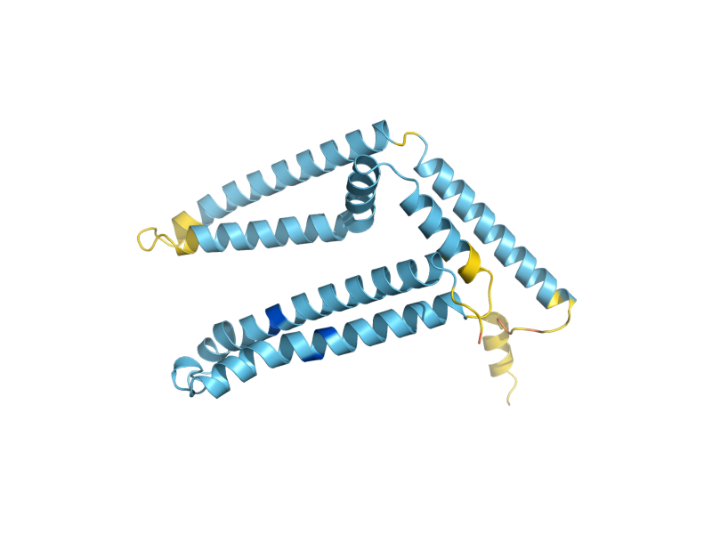 AlphaFold predicted structure of RCF2