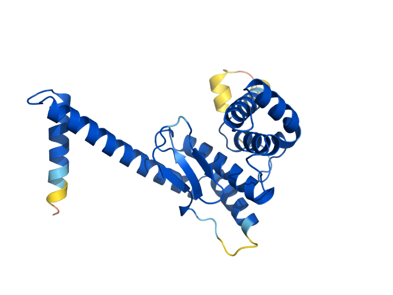 AlphaFold predicted structure of ATP23