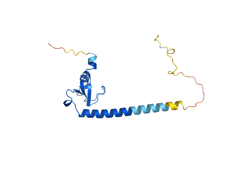 AlphaFold predicted structure of MRPL50
