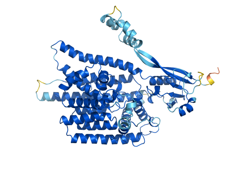 AlphaFold predicted structure of ALG12