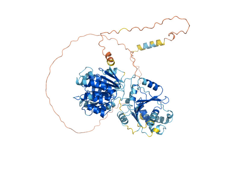AlphaFold predicted structure of DBP6