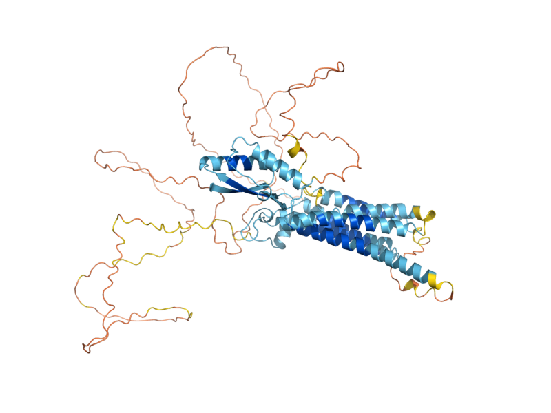 AlphaFold predicted structure of ZRG17