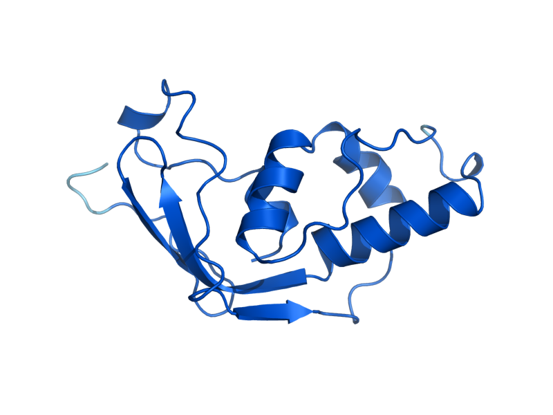 AlphaFold predicted structure of TRM112