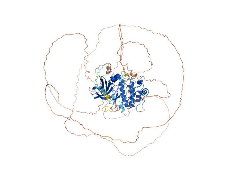 AlphaFold predicted structure of FPK1