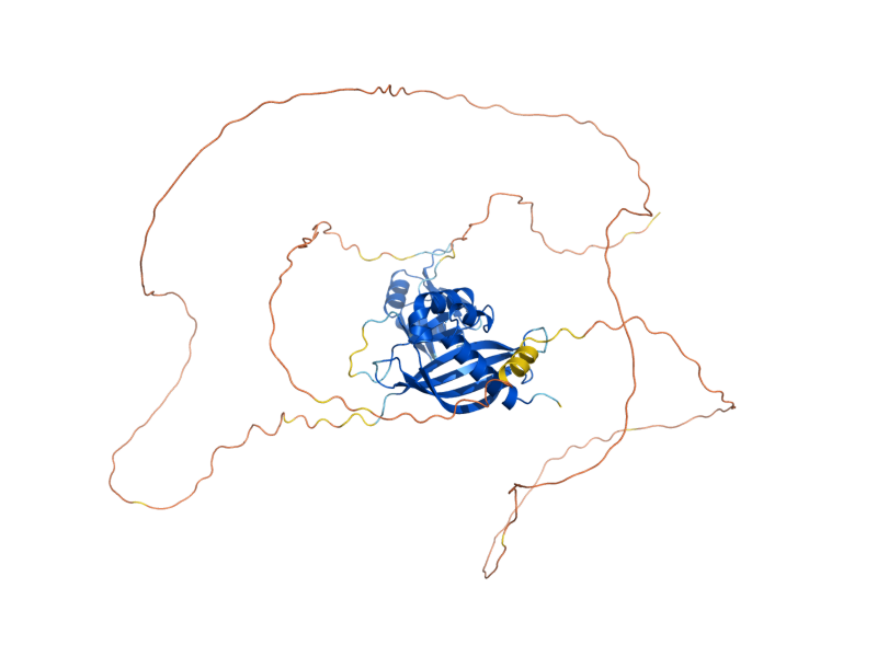 AlphaFold predicted structure of BRE5