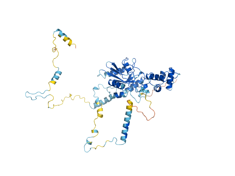 AlphaFold predicted structure of NOG2